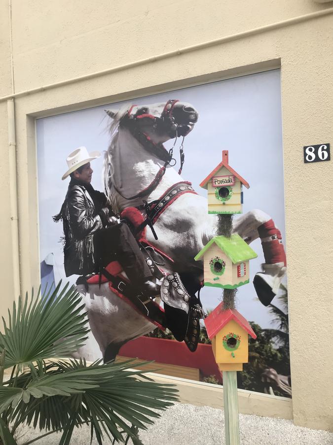 Pousada Recanto Do Cowboy Penha  Bagian luar foto